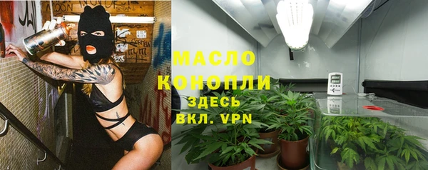 твердый Михайлов