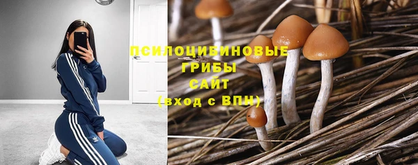 кокс Беломорск