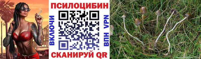 Купить закладки Аткарск Галлюциногенные грибы GOLDEN TEACHER